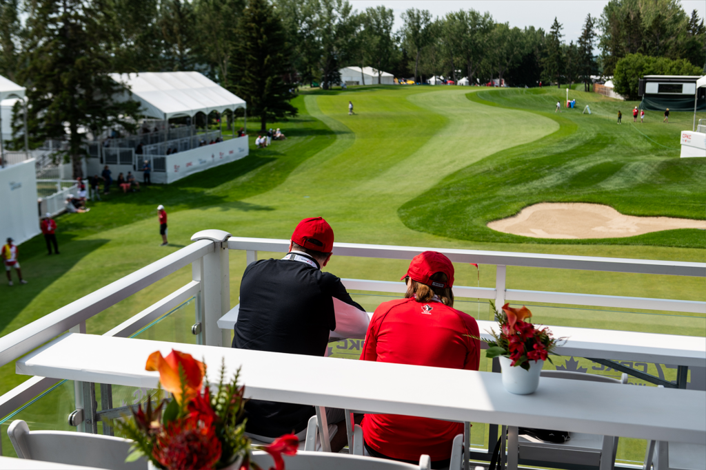 temp alt for theme membership