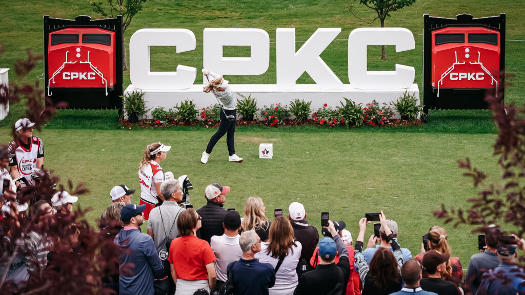 temp alt for theme membership