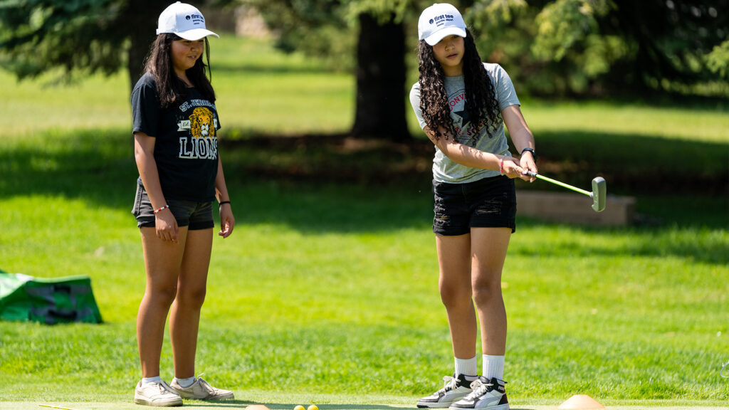 temp alt for theme membership