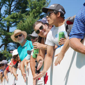 temp alt for theme iandt