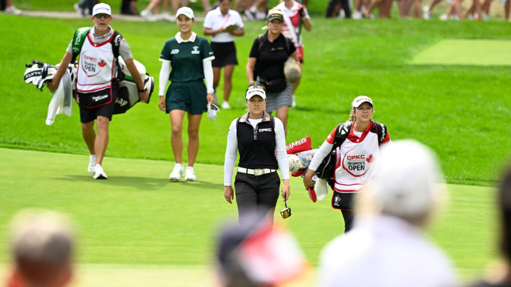 temp alt for theme membership