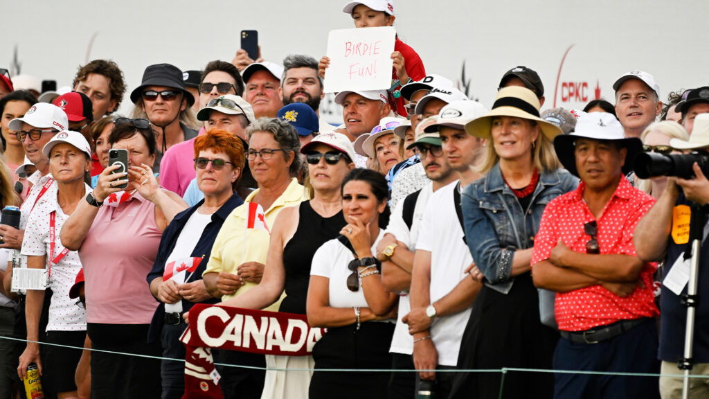 temp alt for theme membership