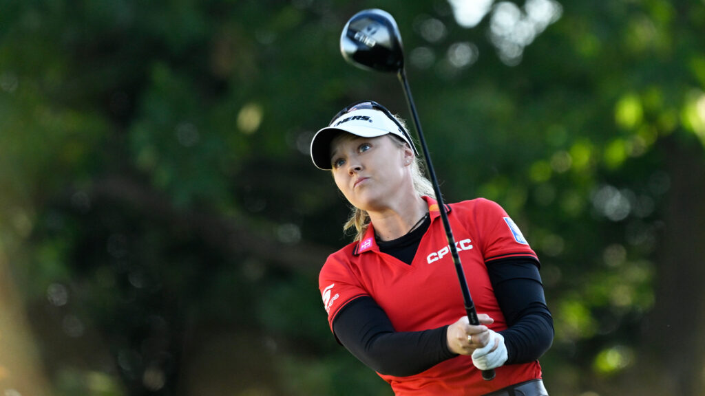 temp alt for theme membership