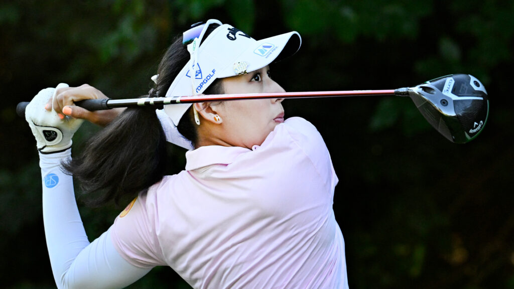 temp alt for theme membership