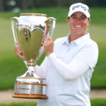 temp alt for theme list items