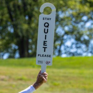 temp alt for theme iandt