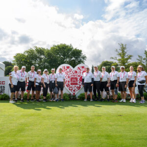 temp alt for theme iandt