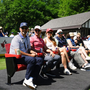 temp alt for theme iandt