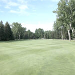 temp alt for theme list items